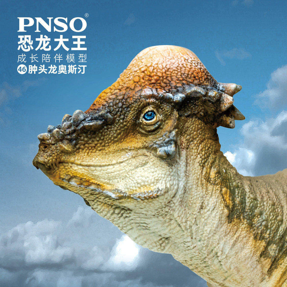 PNSO肿头龙奥斯汀大王成长陪伴图片