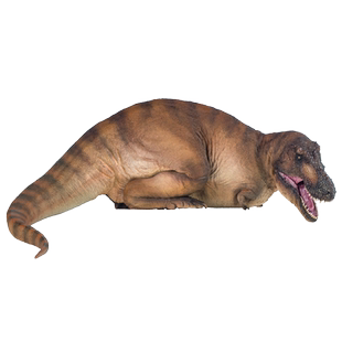 PNSO霸王龙安德莉亚恐龙博物馆1比35科学艺术模型