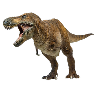 PNSO霸王龙威尔逊恐龙博物馆1比35科学艺术模型