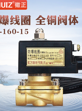 全铜防爆电磁阀2W-160-15/-040-10水阀4分2分3分气阀DN15 AC220V