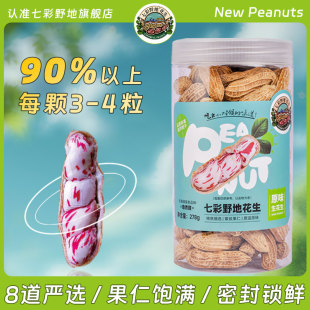 七彩野地旗舰店云南七彩花生新产季 278g 新货年货坚果零食休闲罐装