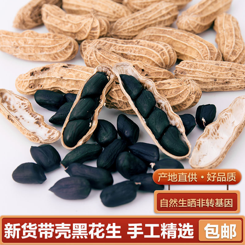 云南特产西米黑皮生花生新货袋装农产品富硒黑花生500g带壳黑花生