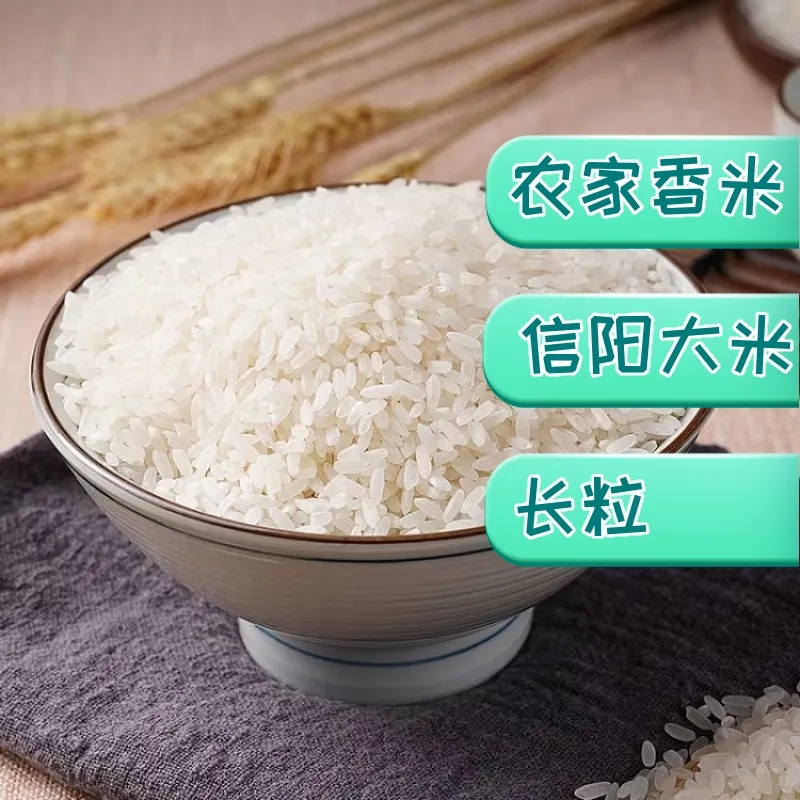 罗山大米2023年新米炒米信阳大米优质稻长粒香米现打现磨油粘米 粮油调味/速食/干货/烘焙 大米 原图主图