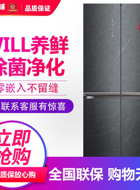容声 BCD-605WKK1FPGZA 家用十字对开门冰箱嵌入变频无霜等级机