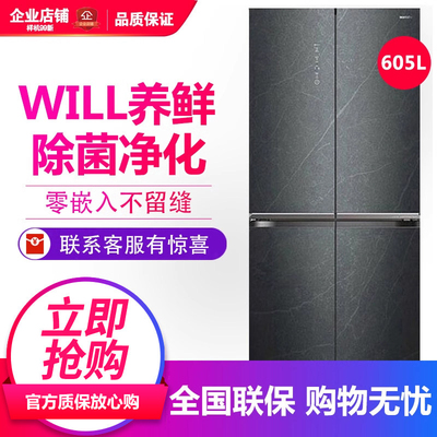 容声 BCD-605WKK1FPGZA 家用十字对开门冰箱嵌入变频无霜等级机