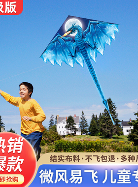 2026新款恐龙风筝儿童微风易飞卡通三角风筝潍坊高档成人大型带线