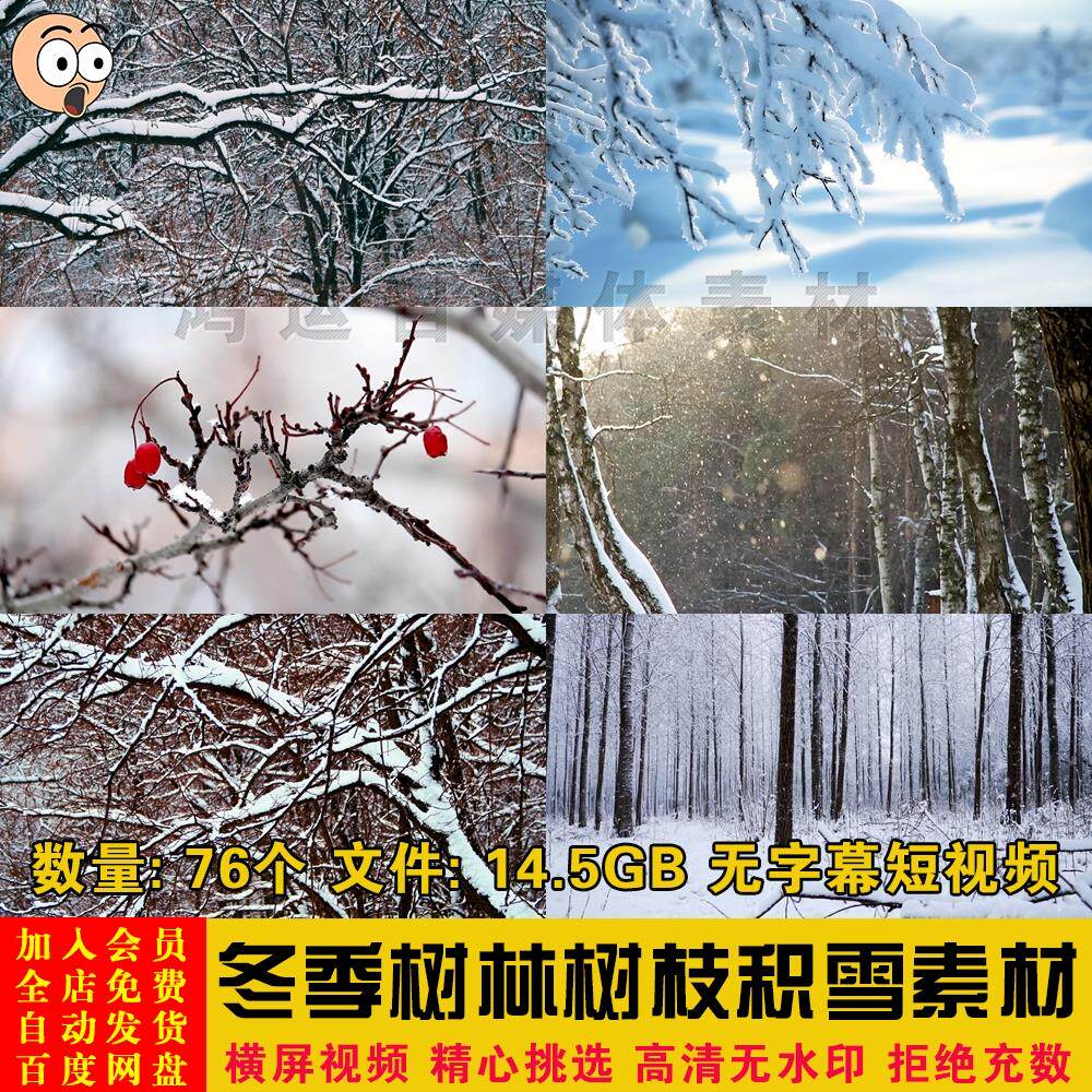高清冬天冬季树林大雪飘飞树枝积雪森林雪景自媒体短视频剪辑素材