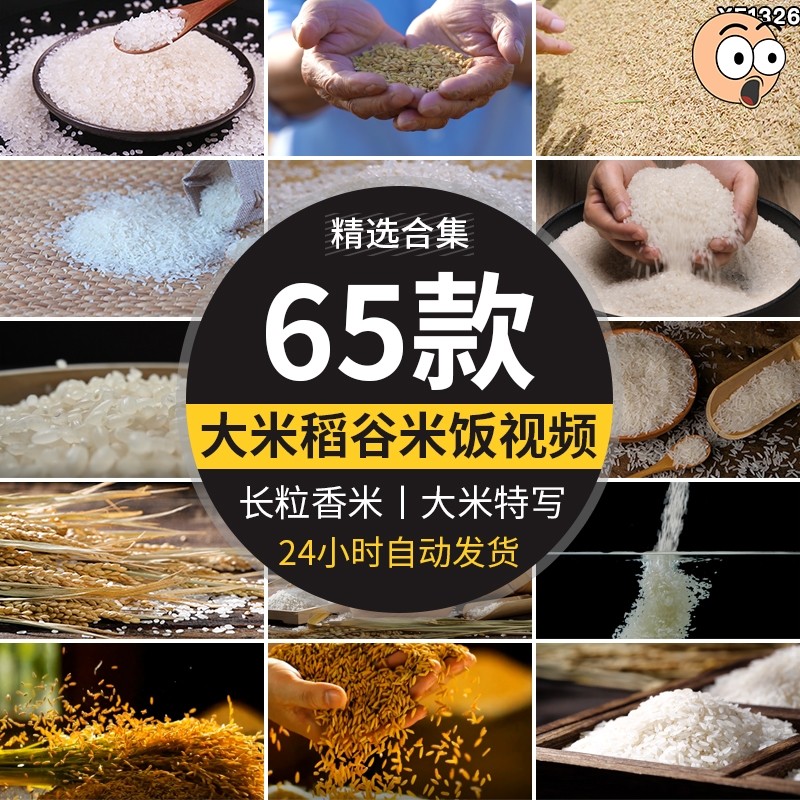 大米特写水稻米饭稻谷长米粒粮食掉落白米抖音自媒体高清视频素材
