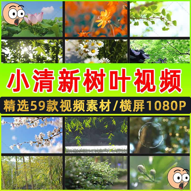 唯美树叶短视频素材大自然阳光绿叶美景种子发芽成长led背景视频