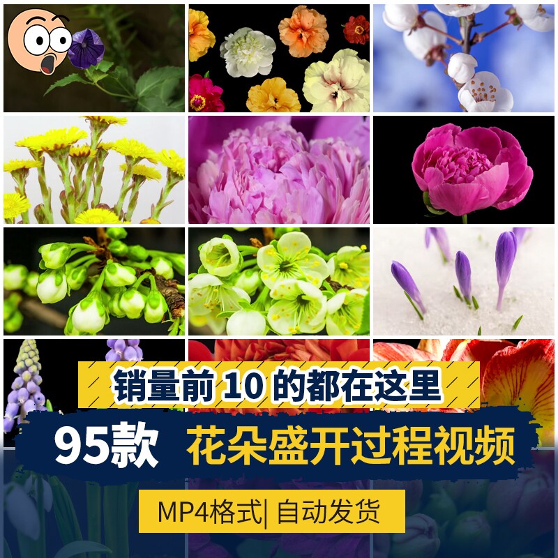 春天鲜花盛开生长过程延时发芽开花植物春暖花开绽放实拍视频素材