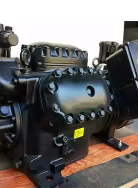 DKLP-15X-EWL DLFP-20X-EWL DLLP-30X-EWL DLSGE-40X-EWL德国谷轮