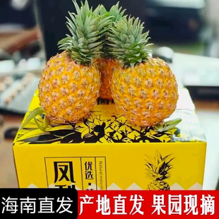 【纯甜】海南当季芒果凤梨新鲜水果台农23号金芒凤梨当季现摘包邮