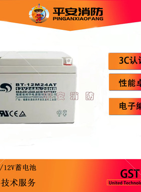 海湾火灾报警主机备用电源12V/7AH/10AH/24AH/38AH/50AH备用电池