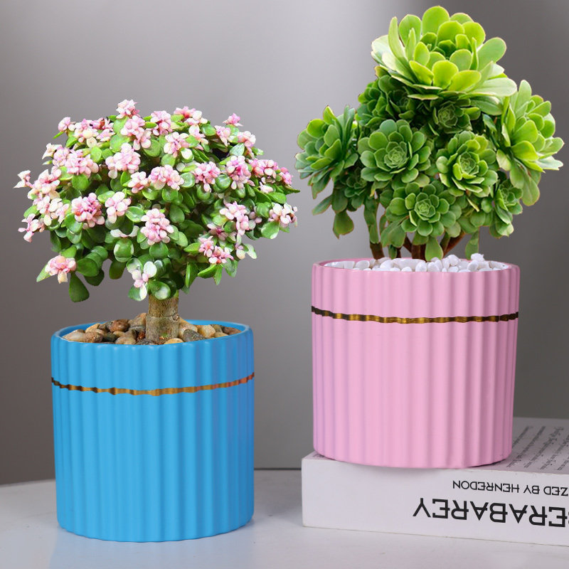 北欧简约陶瓷花盆大号创意个性