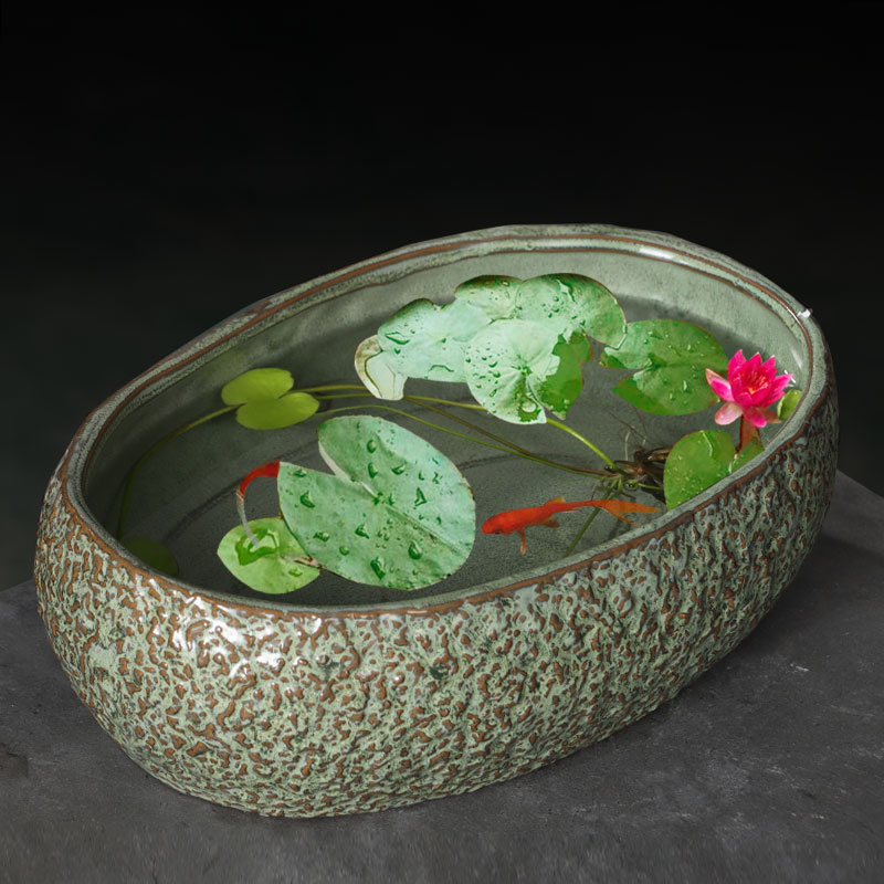 特大号水仙花盆陶瓷家用室内无孔铜钱草一叶莲碗莲盆大号水培花盆