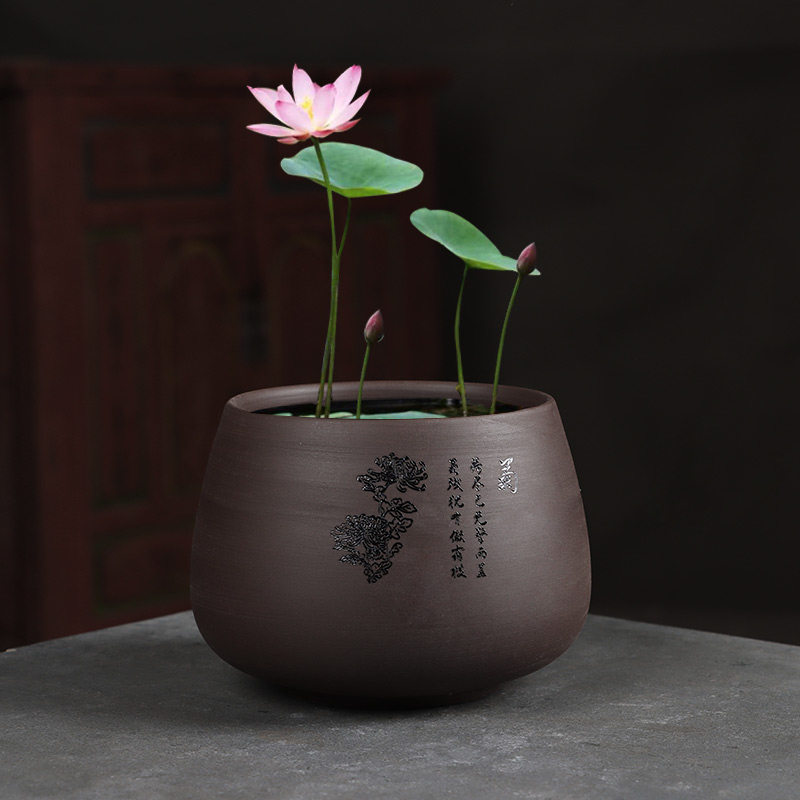 紫砂花盆圆形铜钱草花卉绿植盆栽水培盆景陶瓷无孔一叶莲碗莲专用