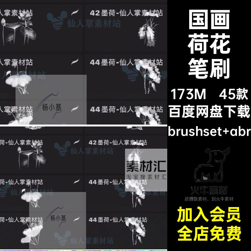 水墨荷花笔刷荷叶国风传统植物45款procreate莲花古典ps花卉国画