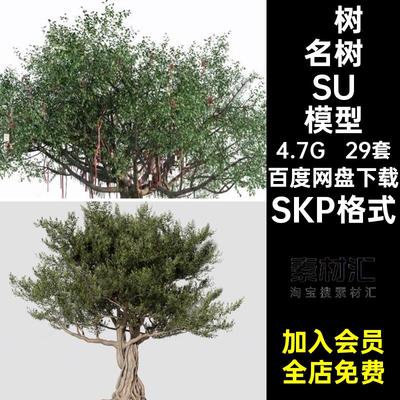 公园名树SU模型SKP格式29套造型寺庙名木景区大树树木古树许愿