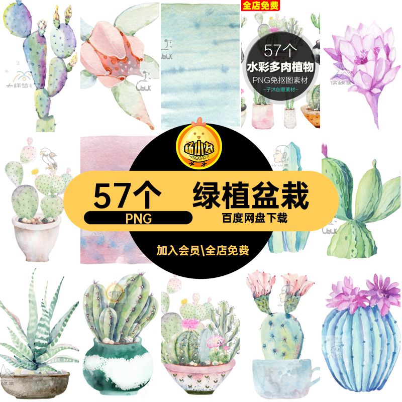 森系小清新水彩手绘绿植盆栽多肉植物仙人掌花卉PNG透明免抠素材