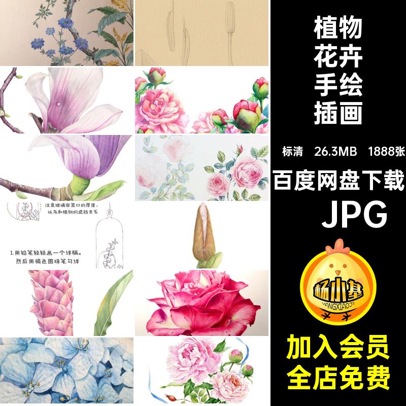 植物花卉手绘插画水彩图片素材肉铅1888张教程线电子版临摹多淡