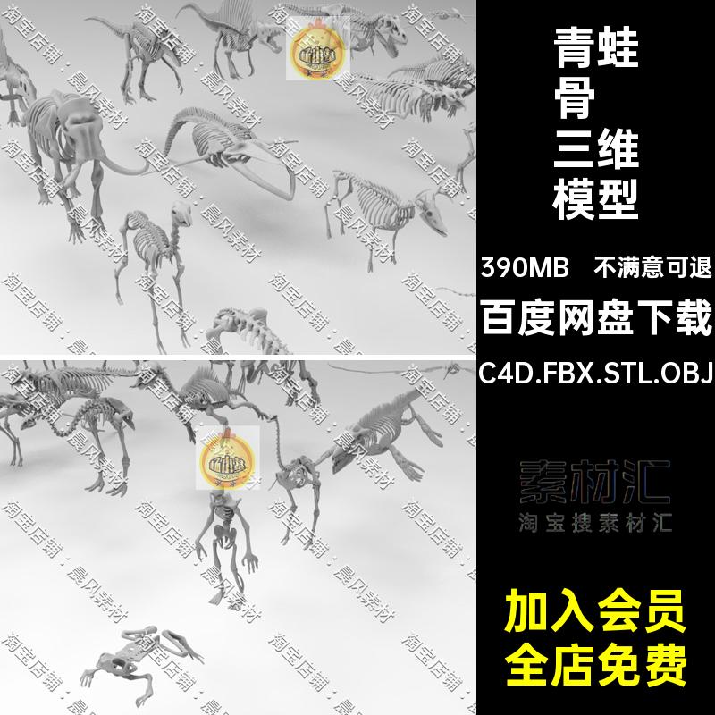 动物骨骼三维模型青蛙鸵鸟C4D人体C4D.FBX.STL.OBJ大象鹿恐龙乌龟