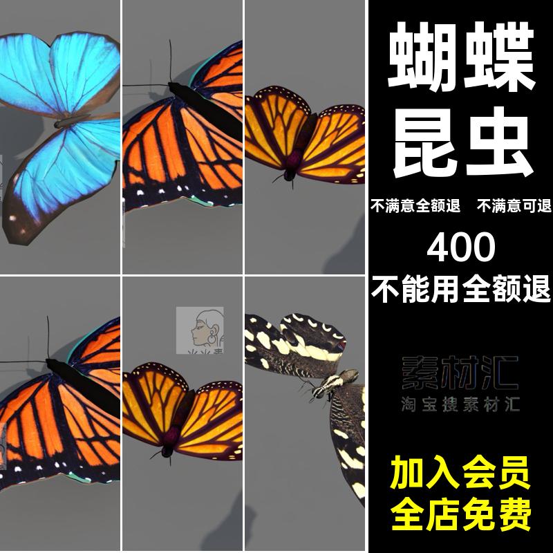 帝王昆虫模型款斑蝶带蓝fbxobj蝴蝶C素材贴图MXMX贴图C素材C带