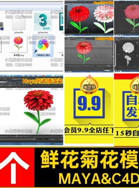 菊花模型素材MAYA&C4DmaxMayaobj鲜花花卉blener百日菊fbxc1个