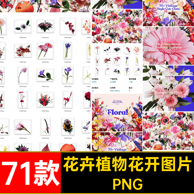 71款潮流复古拼贴剪报植物花卉png免抠图片平面设计素材源文件