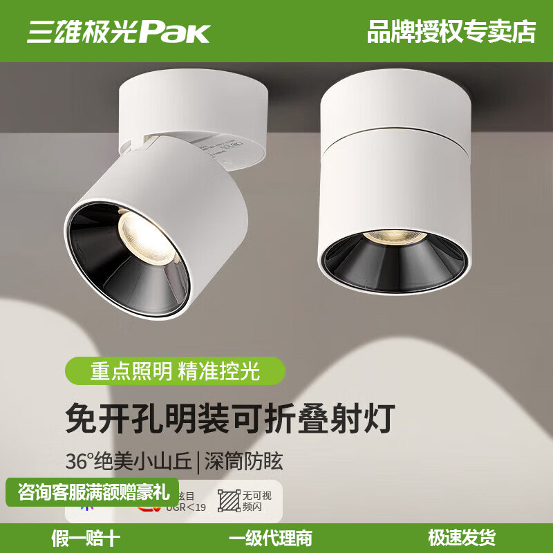 三雄极光全光谱明装吸顶射灯图片