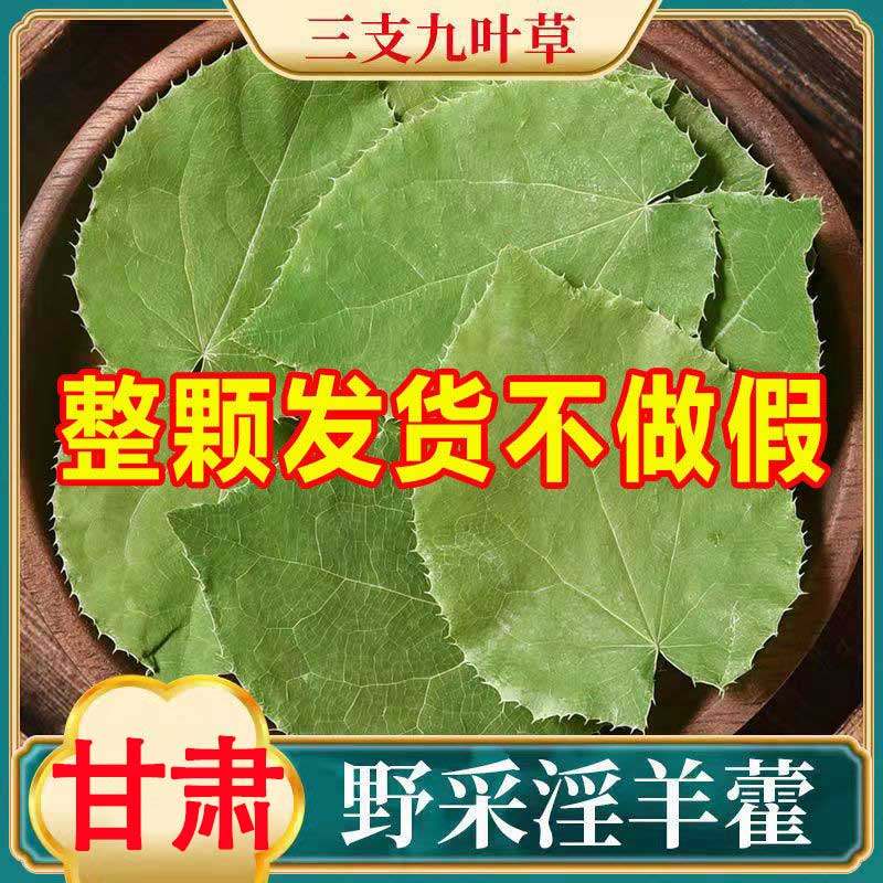 甘肃小叶淫羊藿中药材泡茶酒正品泡水喝仙灵脾野生滢羊霍淫洋藿霍