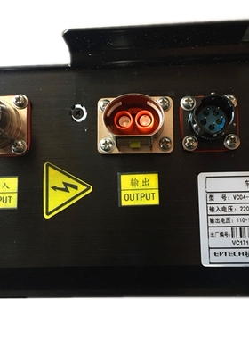 知豆D1D2D2S301BC双80双100众泰云100江南T11充电机充电器