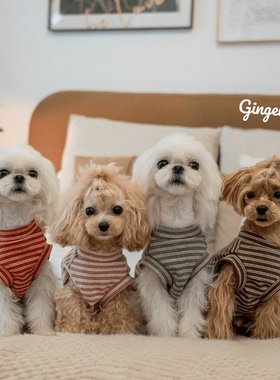 GINGERAIN 小型犬衣服泰迪马尔济斯马尔泰纯棉磨毛舒适空调服背心