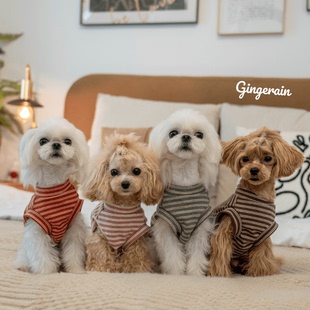 GINGERAIN 小型犬衣服泰迪马尔济斯马尔泰纯棉磨毛舒适空调服背心