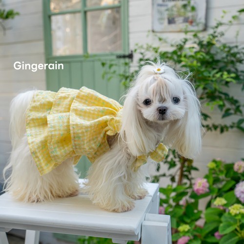 GINGERAIN 飞飞袖层层裙蛋糕裙约克夏马尔济斯爱心格子裙连衣裙