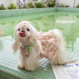 森女系精灵皱皱蛋糕裙蓬蓬吊带裙约克夏马尔济斯比熊 GINGERAIN