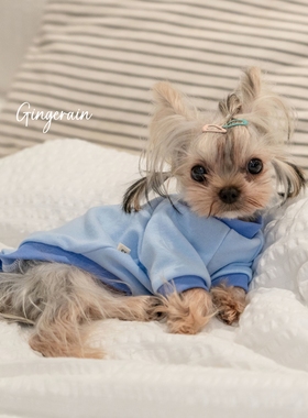 GINGERAIN 面料超级好!小型犬马尔济斯约克夏衣服保暖撞色棉T恤