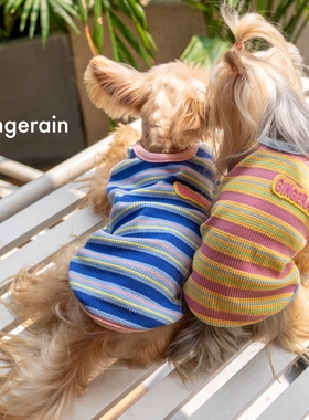 GINGERAIN 撞色华夫格马尔济斯约克夏条纹打底衫棉质T恤背心