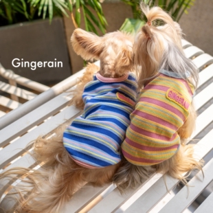 GINGERAIN 棉质T恤背心 撞色华夫格马尔济斯约克夏条纹打底衫