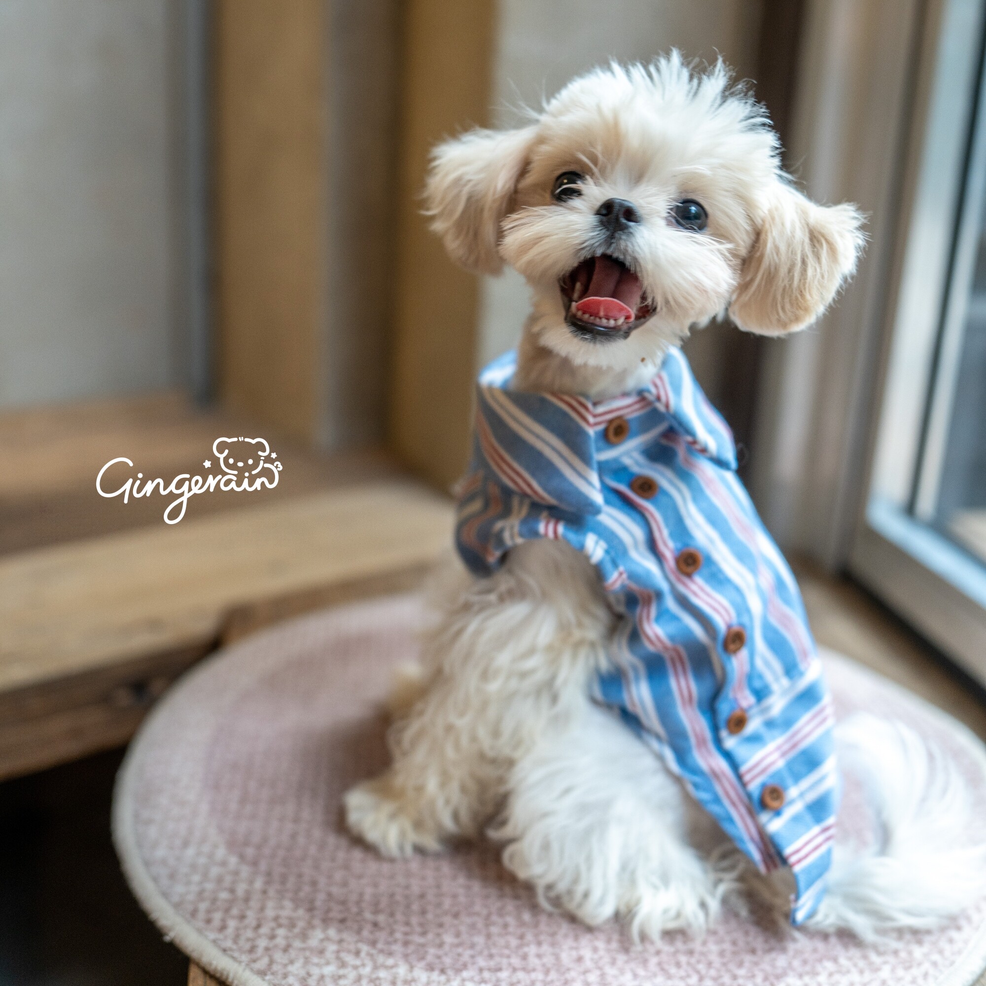 GINGERAIN 牛仔格子衬衫狗衣服约克夏马尔济斯纯棉系扣舒春秋衬衣
