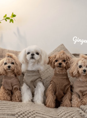 GINGERAIN 小型犬衣服泰迪马尔济斯纯棉磨毛保暖基础款条纹背心