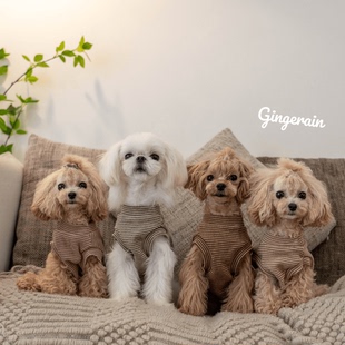 GINGERAIN 小型犬衣服泰迪马尔济斯纯棉磨毛保暖基础款条纹背心