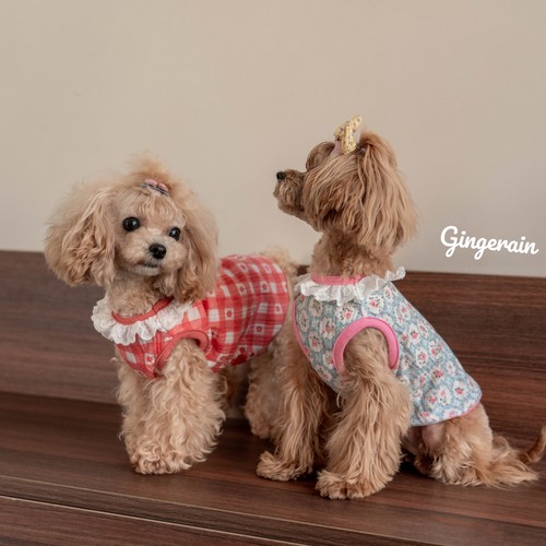 透气纯棉背心GINGERAIN小型犬