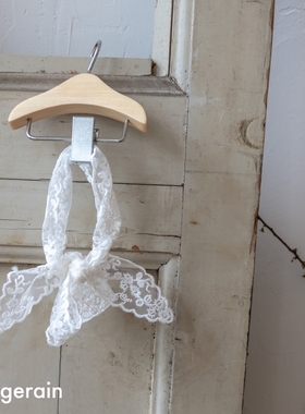 GINGERAIN 蕾丝仙女娃娃衫马尔济斯衣服约克夏天透气衬衫丝巾