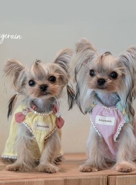 GINGERAIN 小型犬马尔济斯比熊迪衣服娃娃衫宽松轻薄透气背心