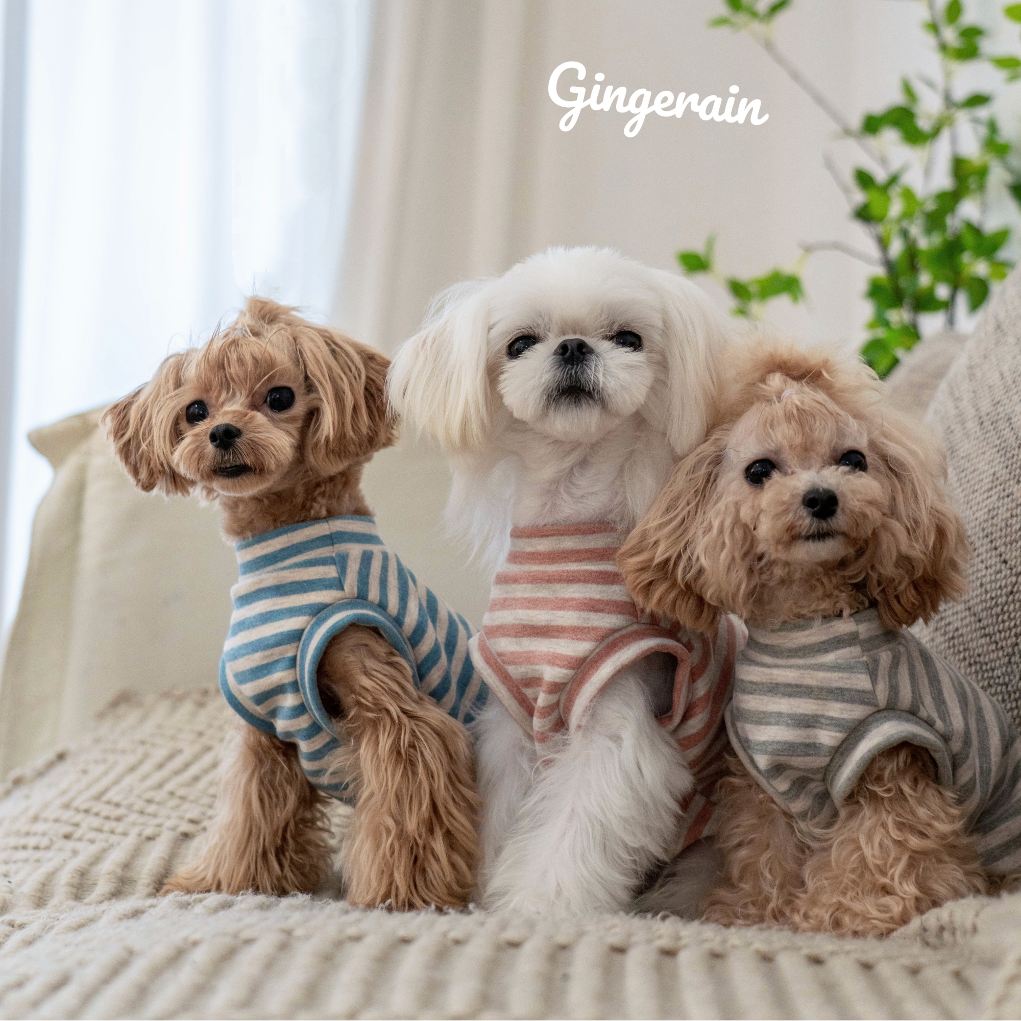 加绒发热绒背心GINGERAIN小型犬