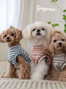 GINGERAIN 小型犬衣服泰迪马尔济斯加绒自发热保暖绒条纹卫衣背心