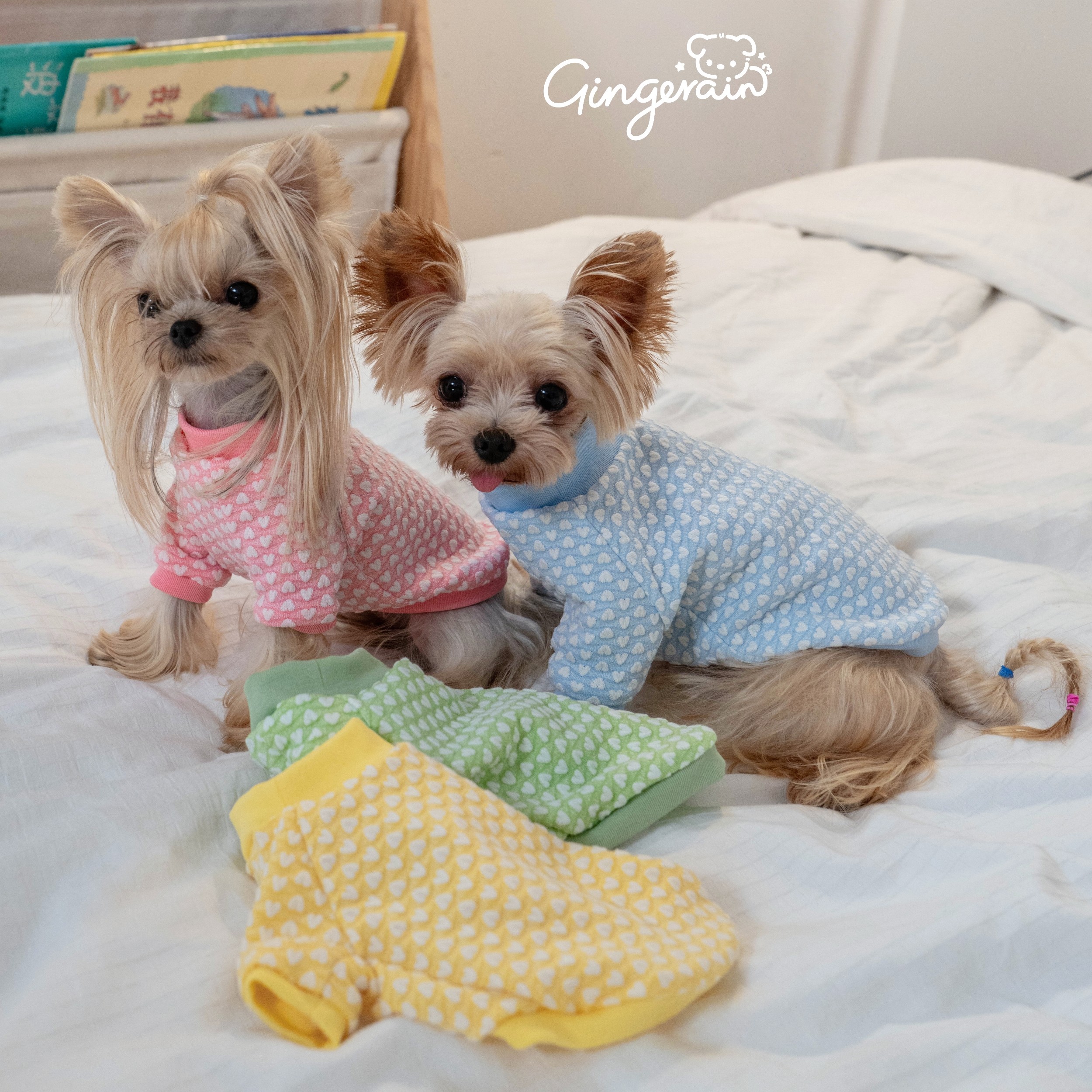 GINGERAIN 早秋打底衫马尔济斯约克夏泰迪T恤心心彩色空调服卫衣,宠物/宠物食品及用品,狗宠物服装/雨衣,淘宝优惠券,粉丝福利购,淘宝优惠卷