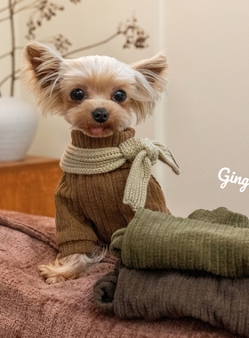 GINGERAIN 美拉德穿搭宠物衣服约克夏马尔济斯卫衣韩剧日系保暖