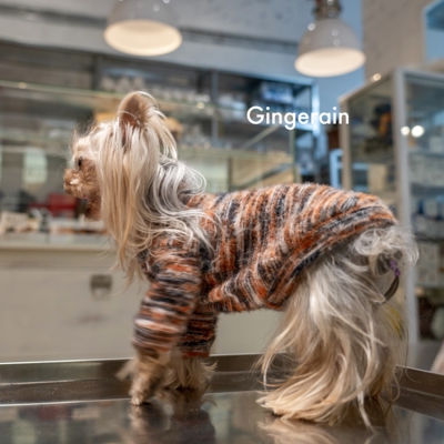 GINGERAIN 虎纹金属风狗衣服小型犬约克夏马尔济斯高弹毛茸茸卫衣