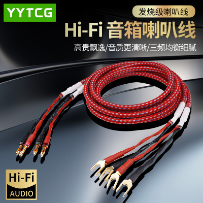 YYTCG发烧级香蕉头喇叭线音箱线